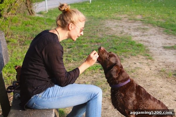 捕鱼达人h5深度解读：娱乐平台亏损补偿与返还活动赛程全攻略